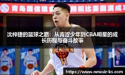 米兰体育平台